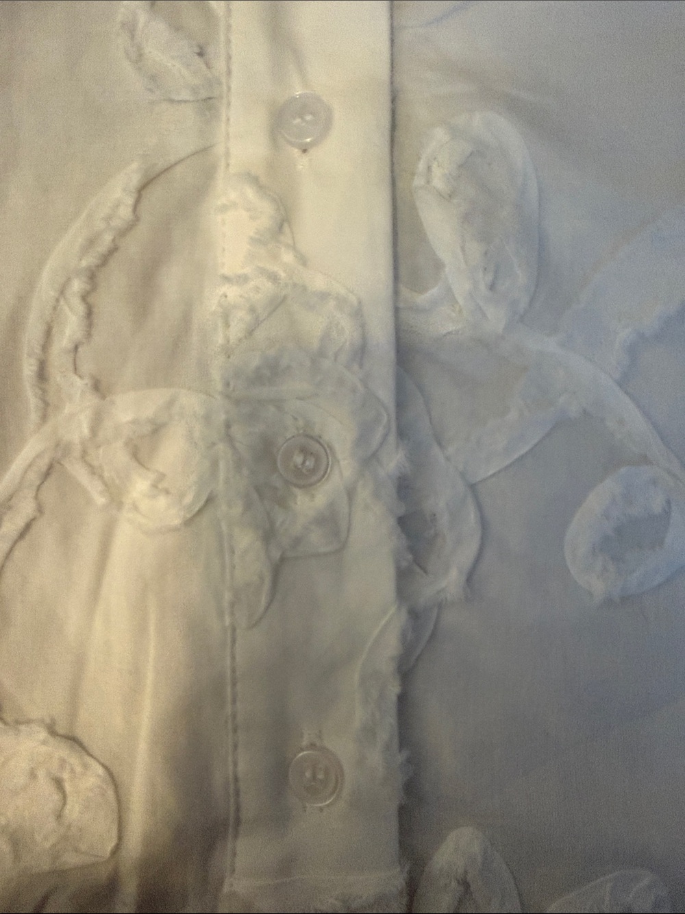 entro White Floral Embroidered Ruffle Sleeve Button-Front Blouse - Picture 7 of 13